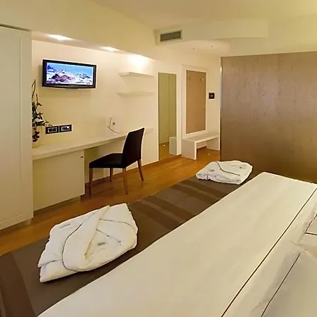 Hotel Napoleon 3*