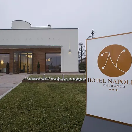 Hotel Napoleon 3*